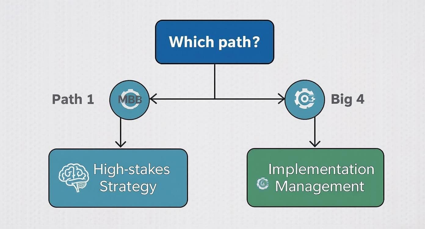 Infographic about management vs strategy consulting