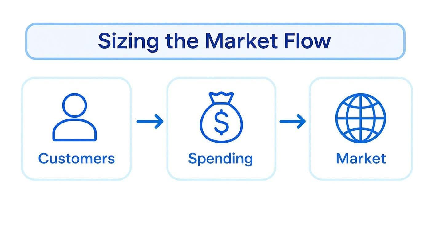 Infographic about sizing the market